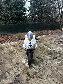 Aprilia rs 660 pista