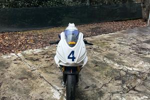 Aprilia rs 660 pista