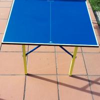 Mini tavolino da ping pong