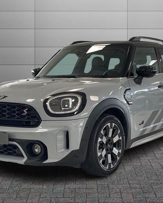 MINI Mini Countryman F60 2020 - Mini Countryman 2.