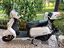 Immagine 6