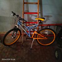 bicicletta Mountain bike 