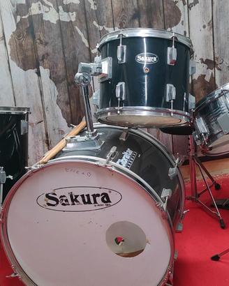 Batteria acustica Sakura