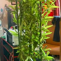 Pianta artificiale da interno