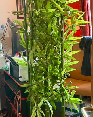 Pianta artificiale da interno