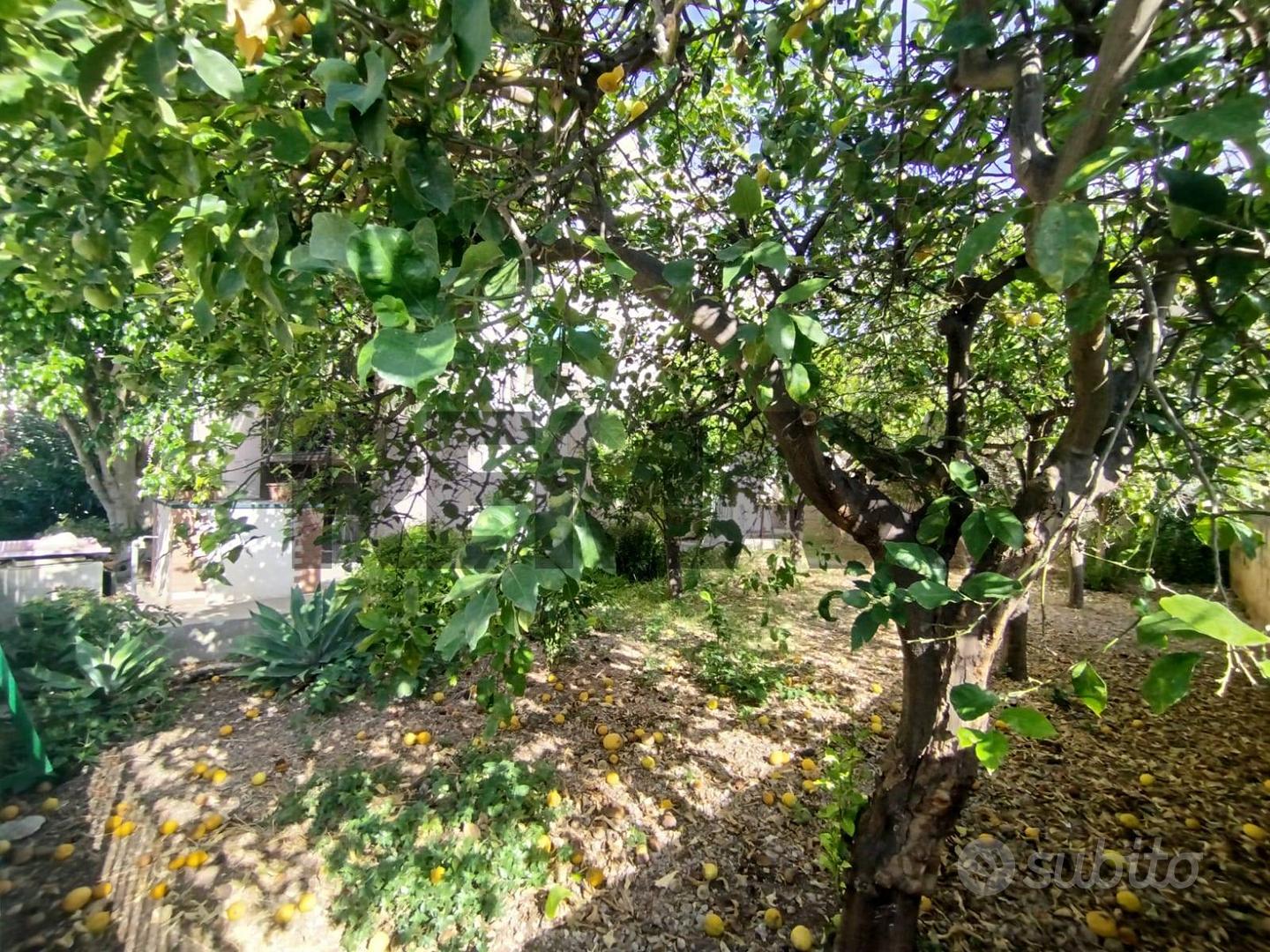 House in Avola, Siracusa - Vista 5