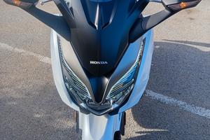 forza 350 luglio 2021