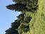 Immagine 22