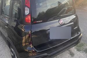 Panda hybrid 2021 cross