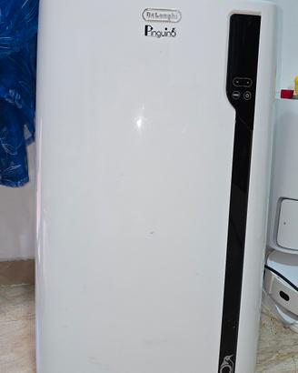 Pinguino Delonghi 