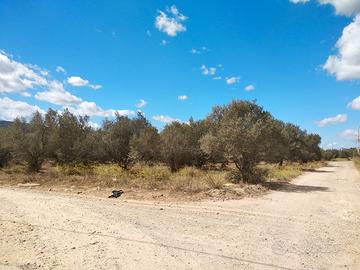 Terreno agricolo