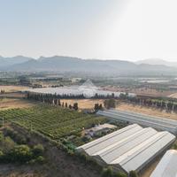 TER. AGRICOLO A CAPOTERRA