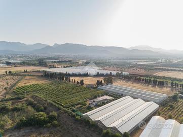 TER. AGRICOLO A CAPOTERRA