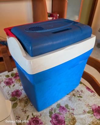 frigo elettrico da viaggio 