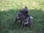 Immagine 29