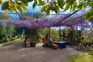 Terreno 5000 mq + casa e vigneto 3km Porto Torres