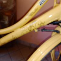 bicicletta elettrica 