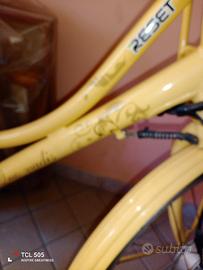 bicicletta elettrica 