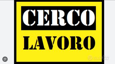 Operaio muratore magazziniere