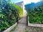 Immagine 12