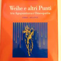 Weihe e altri punti tra agopuntura e omeopatia 