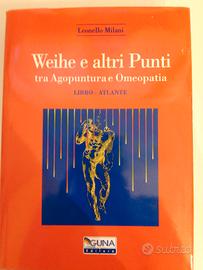 Weihe e altri punti tra agopuntura e omeopatia 