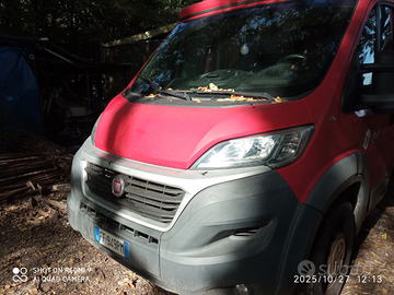 Fiat ducato cassonato