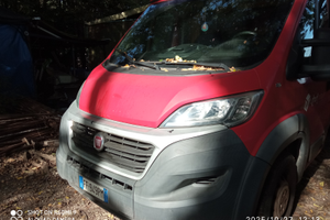 Fiat ducato cassonato