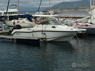 Fisherman Walkaround Boston Whaler Conquest 255