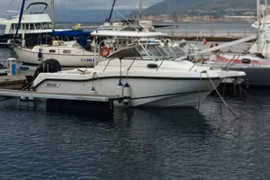 Fisherman Walkaround Boston Whaler Conquest 255