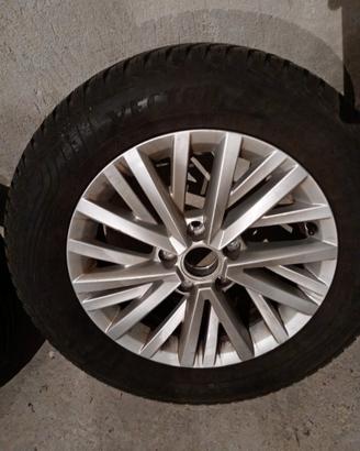 Cerchi Volkswagen Troc 