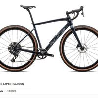 SPECIALIZED DIVERGE CARBON EXPERT TAGLIA 58