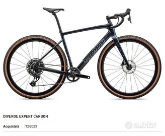 SPECIALIZED DIVERGE CARBON EXPERT TAGLIA 58