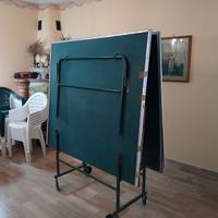 tavolo da pin pong