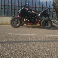 Aeon Cobra  400 Limited Edition Michael Leeb
