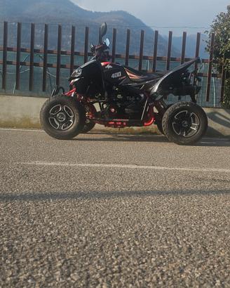 Aeon Cobra  400 Limited Edition Michael Leeb