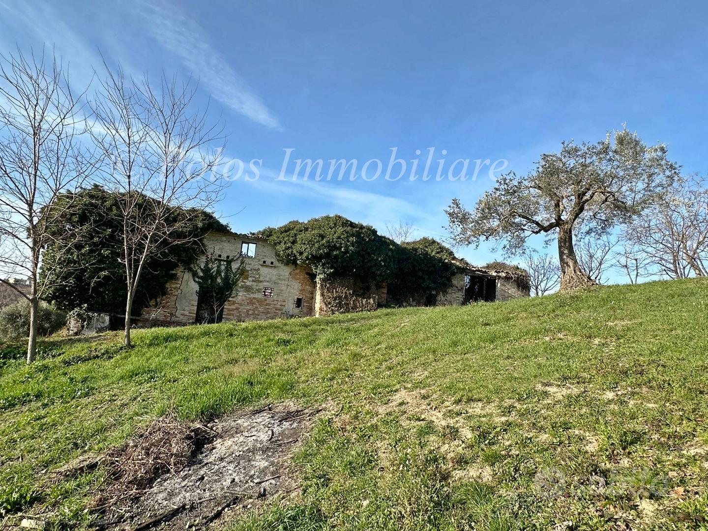 Casa colonica - Monte Giberto - Vista 5