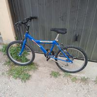 bici per bambino 20"