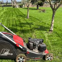 Giardinaggio manutenzione e cura del verde