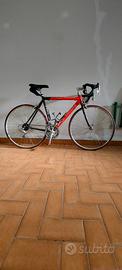 Bici da corsa Pavarin