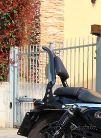 sissy bar 