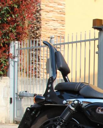 sissy bar 