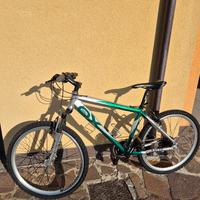 Mountain Bike Moser Sport 