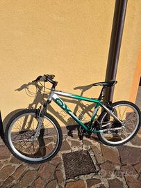 Mountain Bike Moser Sport 