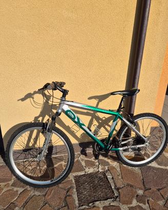 Mountain Bike Moser Sport 