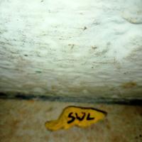 Sasso dipinto a mano