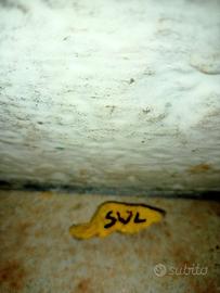 Sasso dipinto a mano