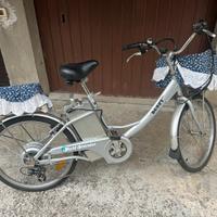 Bicicletta elettrica
