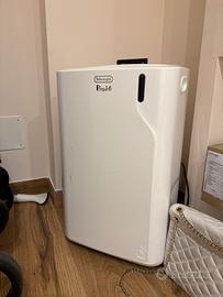 Pinguino de’ longhi giugno 25