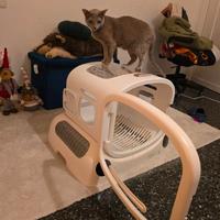 Pet Dryer Box Petsnowy - Asciugatore cani e gatti